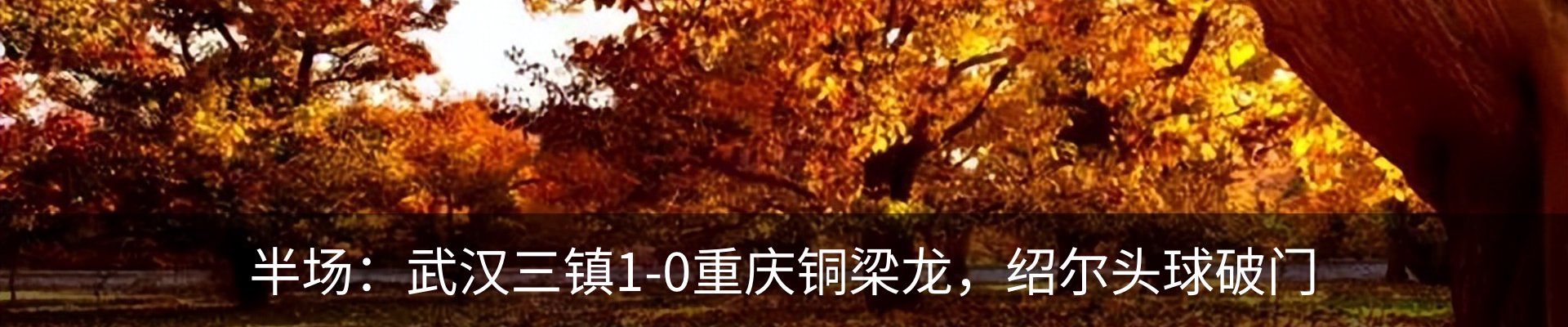 内页banner