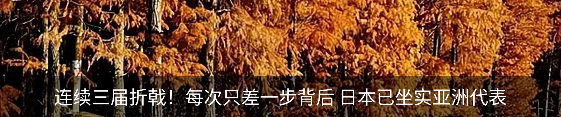 内页banner