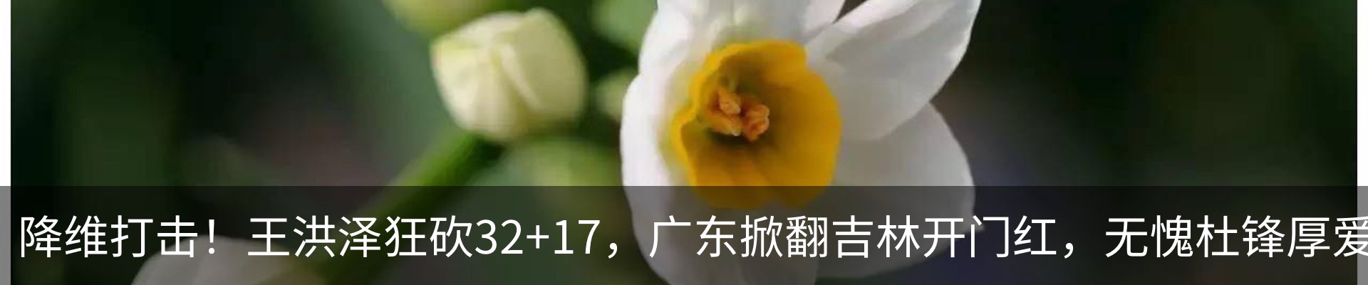 内页banner