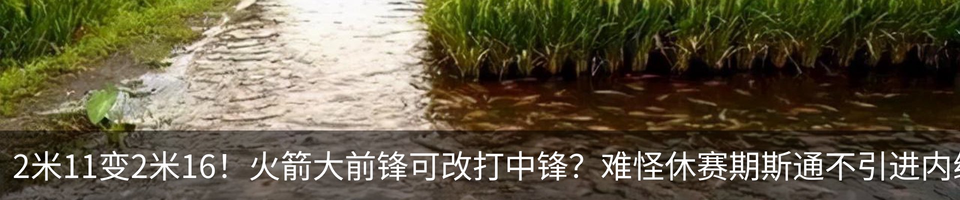 内页banner